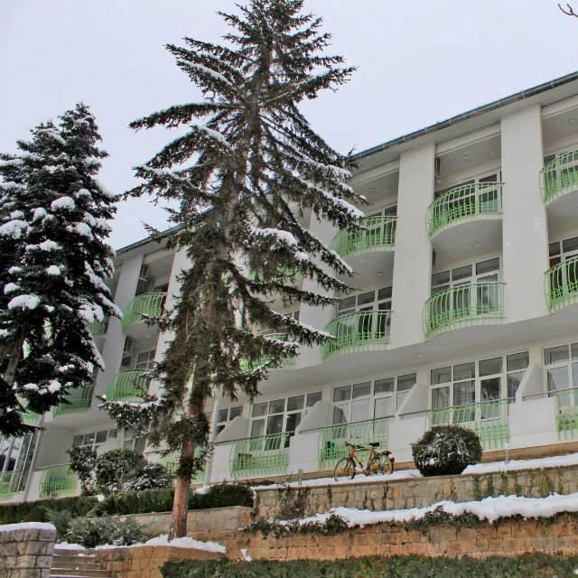 Hotel Klimetica Охрид Екстер'єр фото